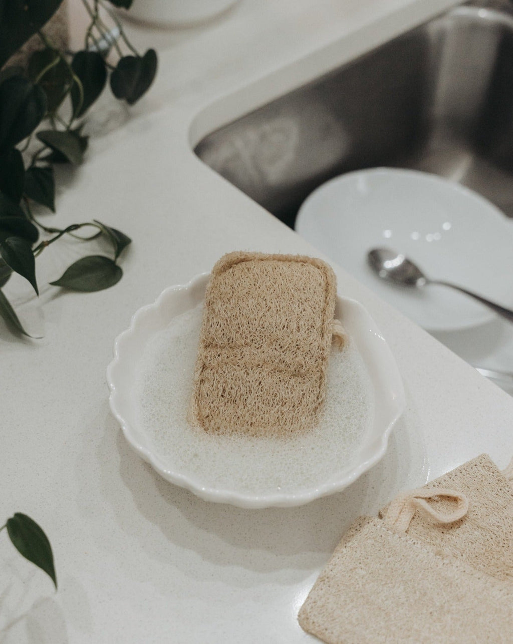 Éponge Loofah Naturelle – Paquet de 3 | Exfoliant Végétal Biodégradable