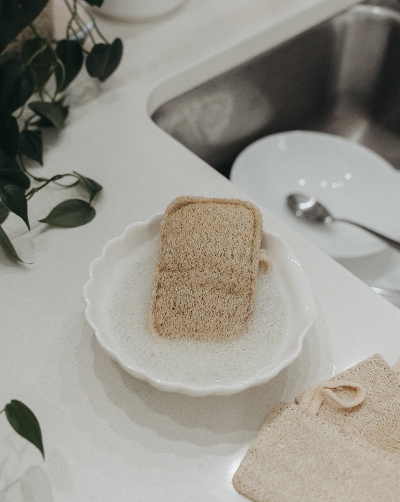 Éponge Loofah Naturelle – Paquet de 3 | Exfoliant Végétal Biodégradable
