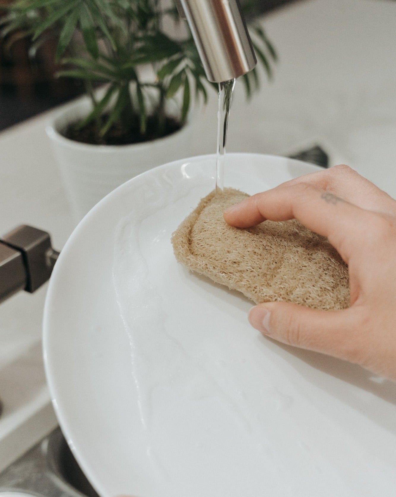 Éponge Loofah Naturelle – Paquet de 3 | Exfoliant Végétal Biodégradable