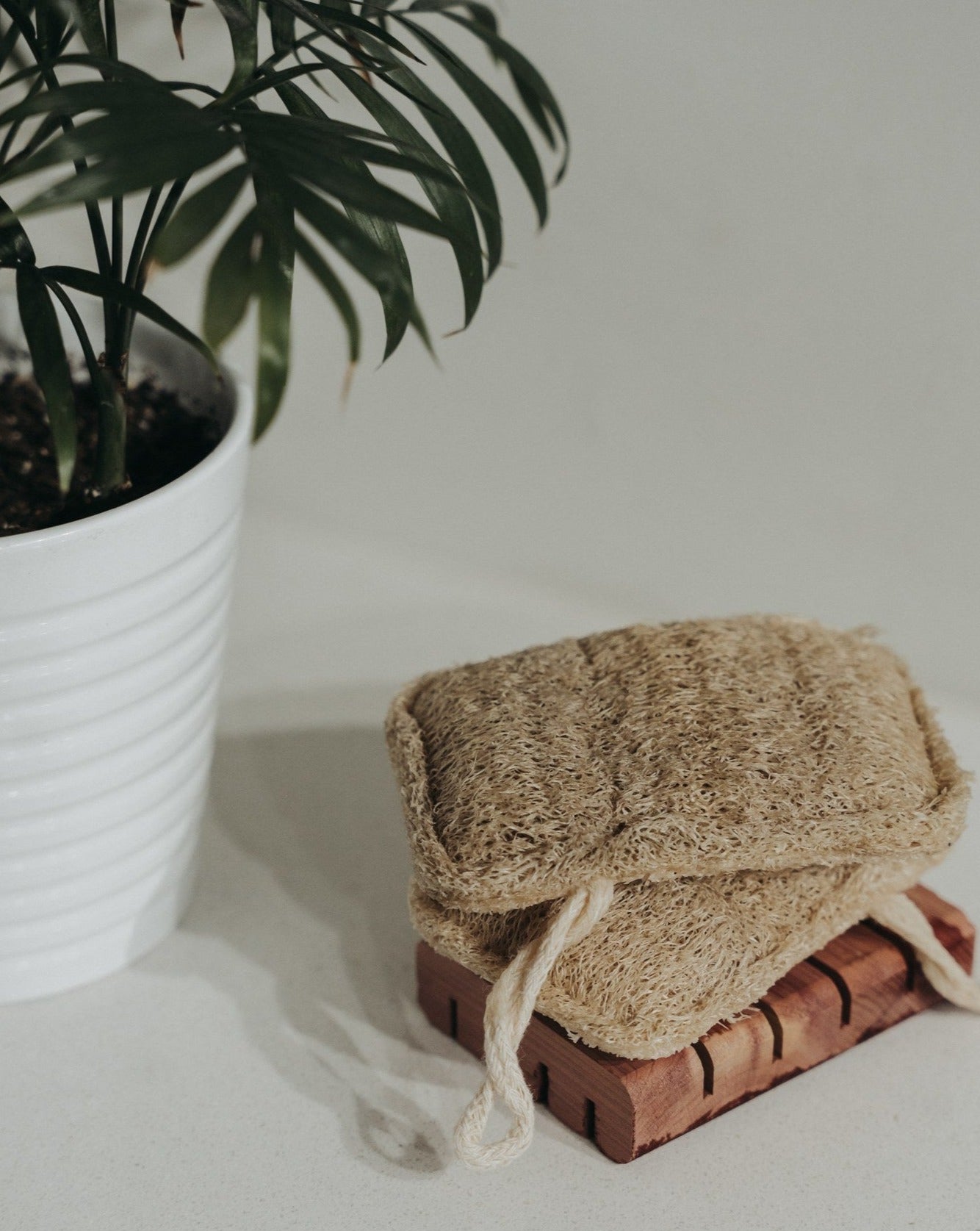 Éponge Loofah Naturelle – Paquet de 3 | Exfoliant Végétal Biodégradable