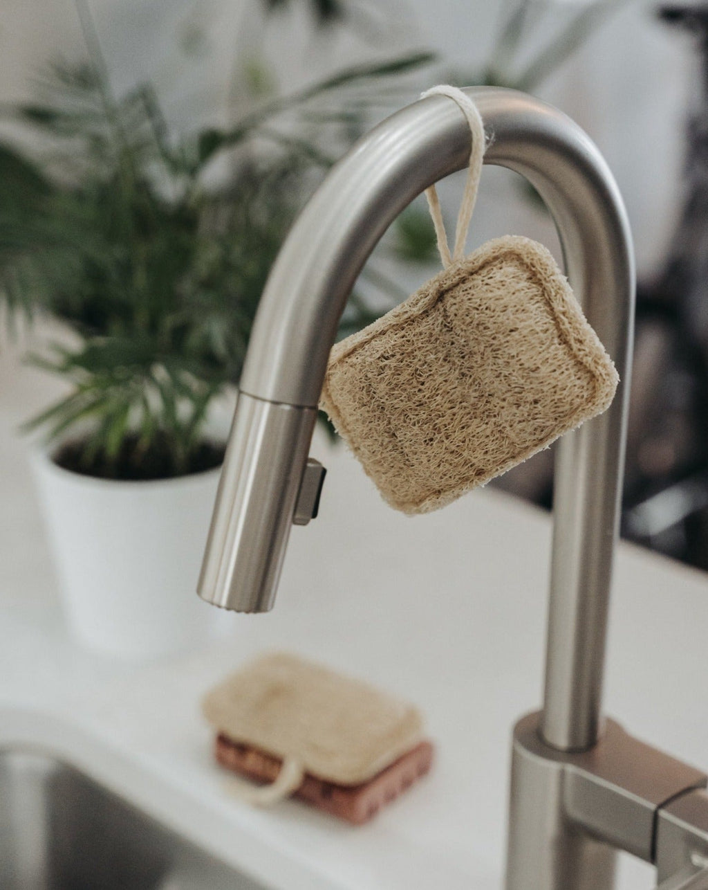 Éponge Loofah Naturelle – Paquet de 3 | Exfoliant Végétal Biodégradable